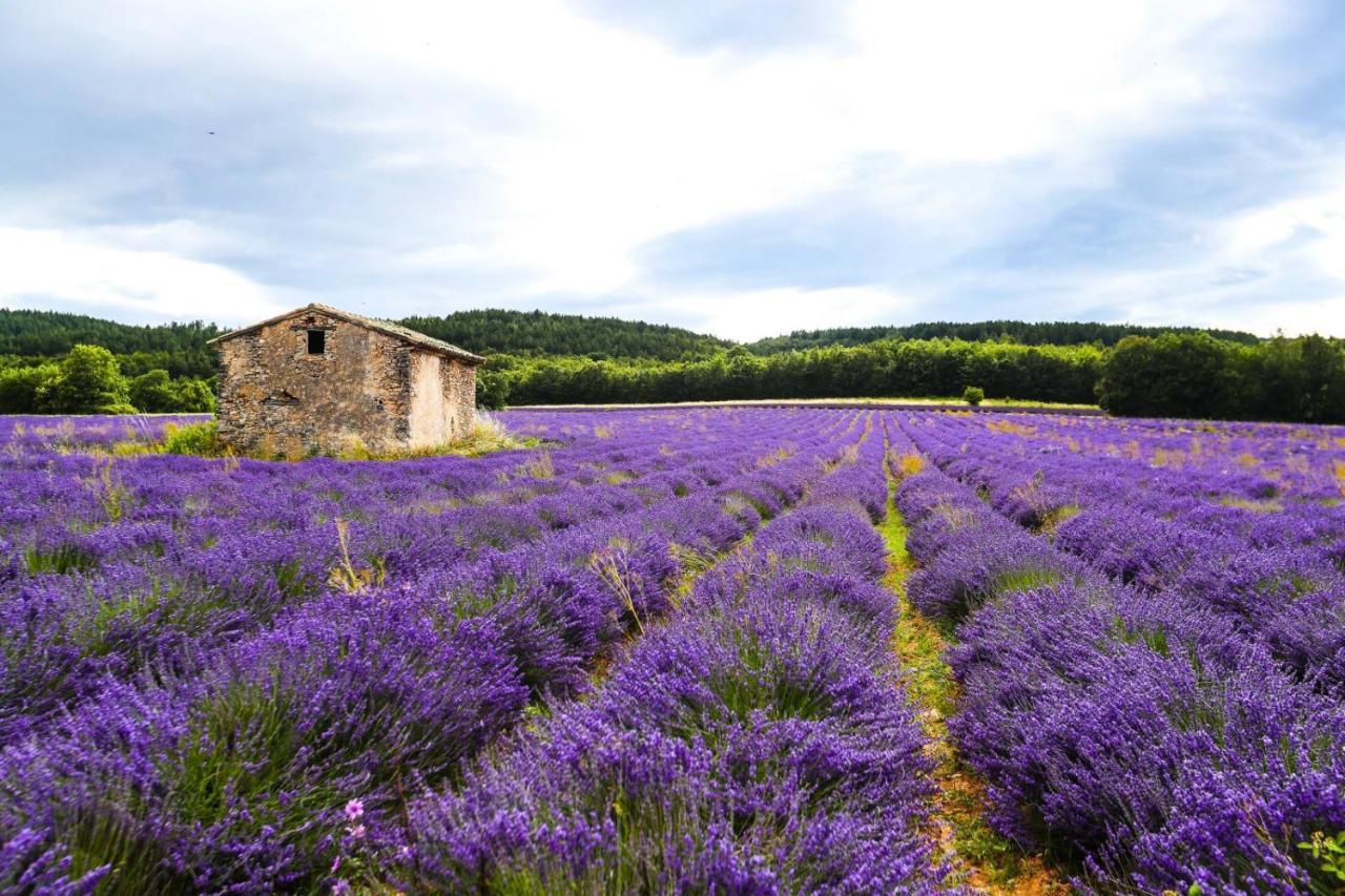 Petit Atypique Et Cosy En Provence * Saint-Étienne-les-Orgues